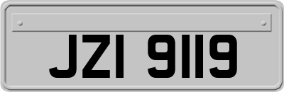 JZI9119