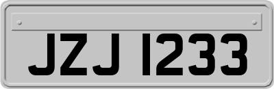 JZJ1233