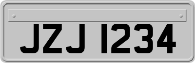 JZJ1234