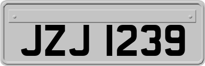 JZJ1239