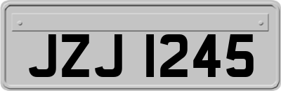 JZJ1245