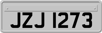 JZJ1273
