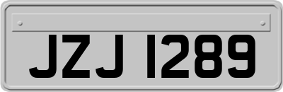 JZJ1289