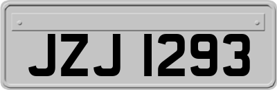 JZJ1293