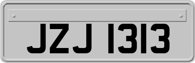 JZJ1313