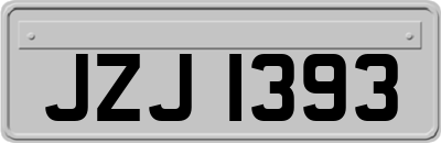 JZJ1393
