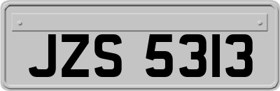 JZS5313
