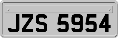 JZS5954