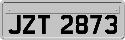 JZT2873