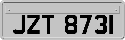 JZT8731