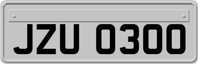 JZU0300