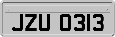 JZU0313