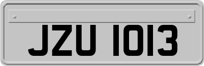 JZU1013