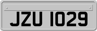 JZU1029