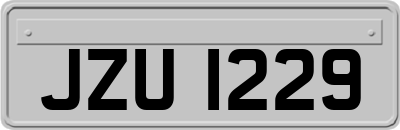 JZU1229