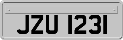 JZU1231
