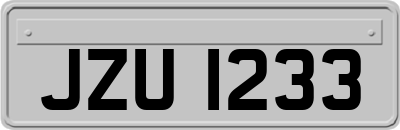 JZU1233