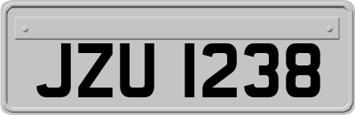 JZU1238