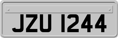 JZU1244