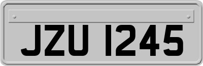 JZU1245