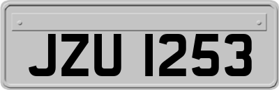 JZU1253