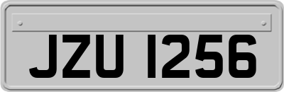 JZU1256