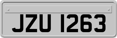 JZU1263