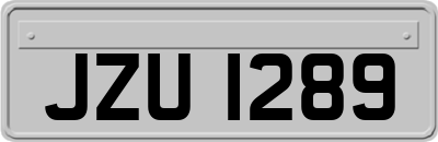 JZU1289