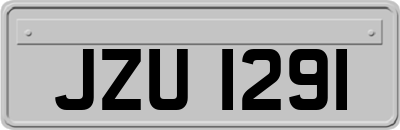 JZU1291