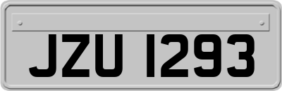 JZU1293