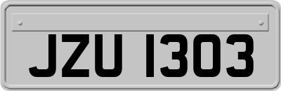 JZU1303
