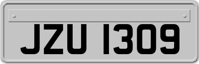 JZU1309