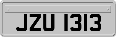 JZU1313
