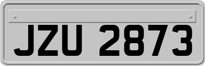 JZU2873