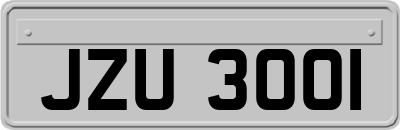 JZU3001