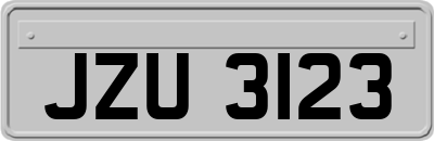 JZU3123