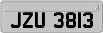 JZU3813