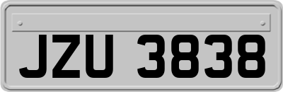 JZU3838