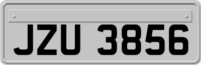 JZU3856