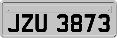 JZU3873