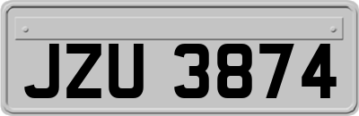 JZU3874