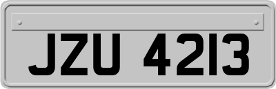 JZU4213