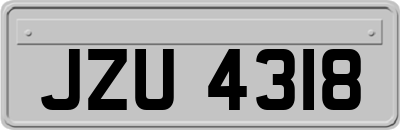 JZU4318