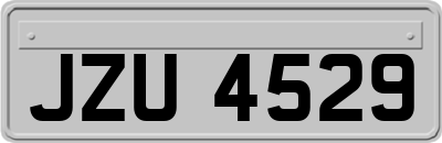 JZU4529