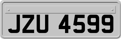 JZU4599