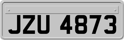 JZU4873