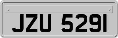 JZU5291