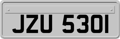 JZU5301