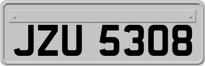 JZU5308