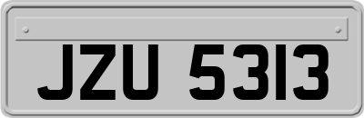 JZU5313